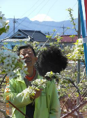 サマーエンジェルの花粉付け