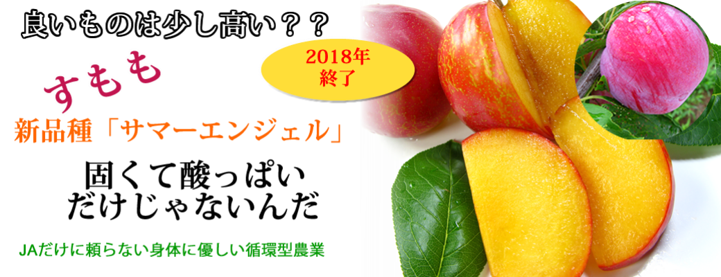 山梨生まれ酸味が少なく食べやすいサマーエンジェル