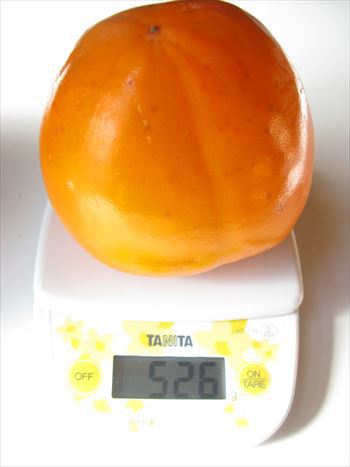 柿の重さ